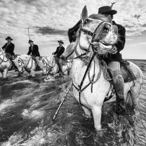 Saint-Maries-de-la-Mer Camargue