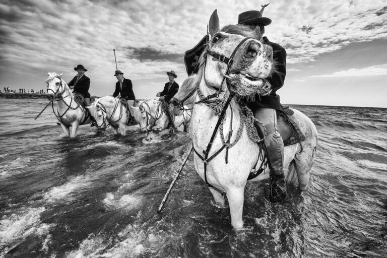 Saint-Maries-de-la-Mer Camargue